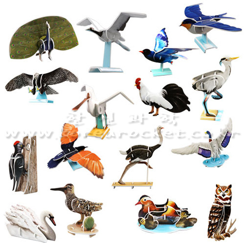 교과서에 나오는세계의 새들(16종)