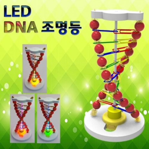 LED DNA 조명등