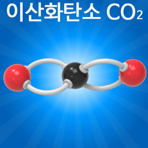 분자구조 만들기-이산화탄소(5인 세트)
