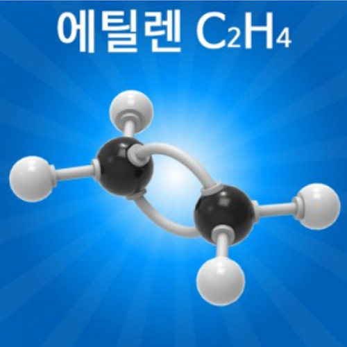 분자구조만들기-에틸렌(5인 세트)
