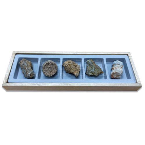 Introductory Mineral and Rock Collection
