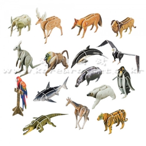 교과서에 나오는 세계의 동물들(16종)