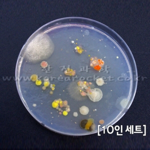 배지만들기2(일반세균+곰팡이)(10인 세트)